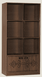 Swarnachapa Book Shelf