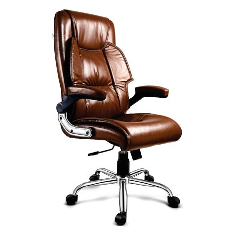 Atashi Director Chair
