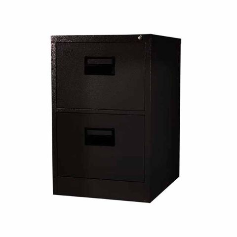 Basanta Two Drawer File Cabinet