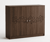 Kathgolap Shoe Cabinet