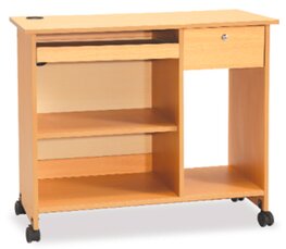 Falgun Computer Table